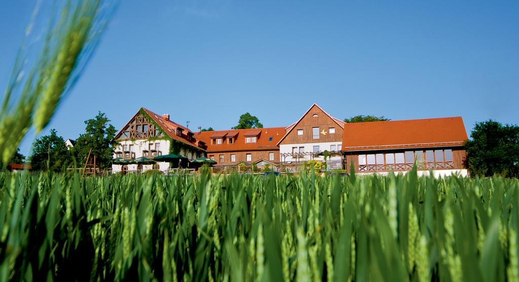 Hotel Neue Hoehe Klingenberg Экстерьер фото